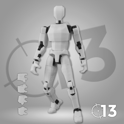 #e3e3e3